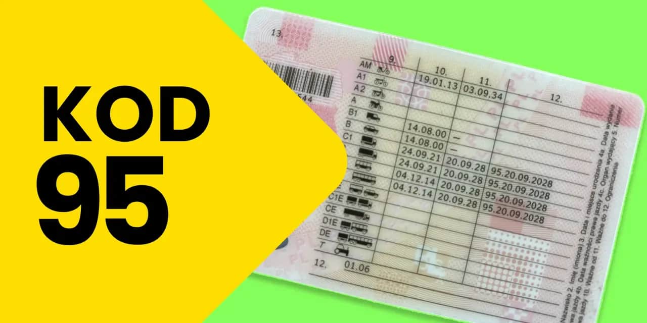 Świadectwo kwalifikacji zawodowej (Kod 95): Jak zdobyć i odnowić?