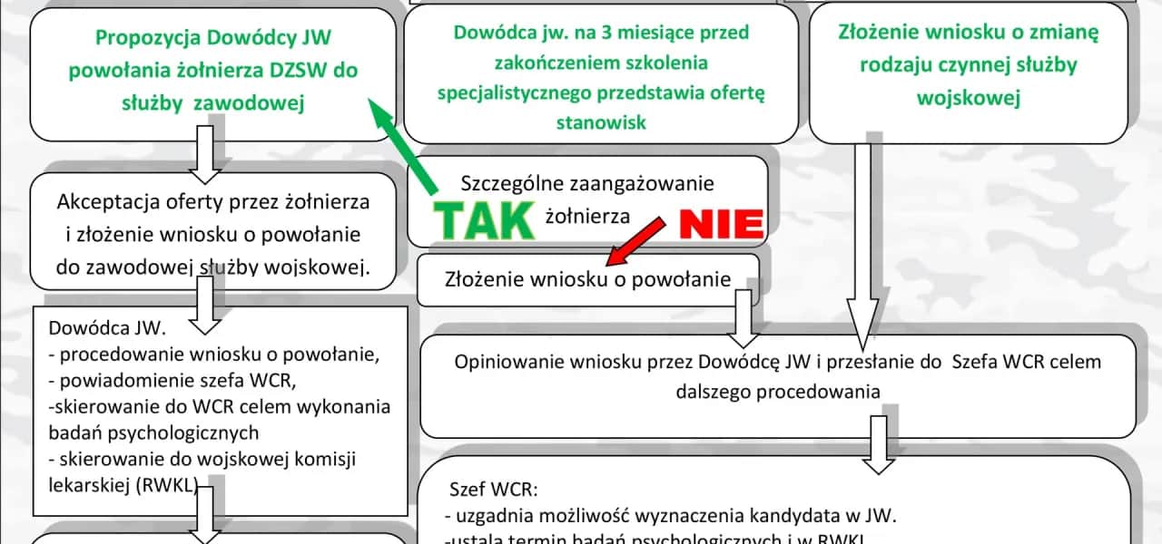 Jak zostać żołnierzem zawodowym? Przewodnik, zarobki, benefity.