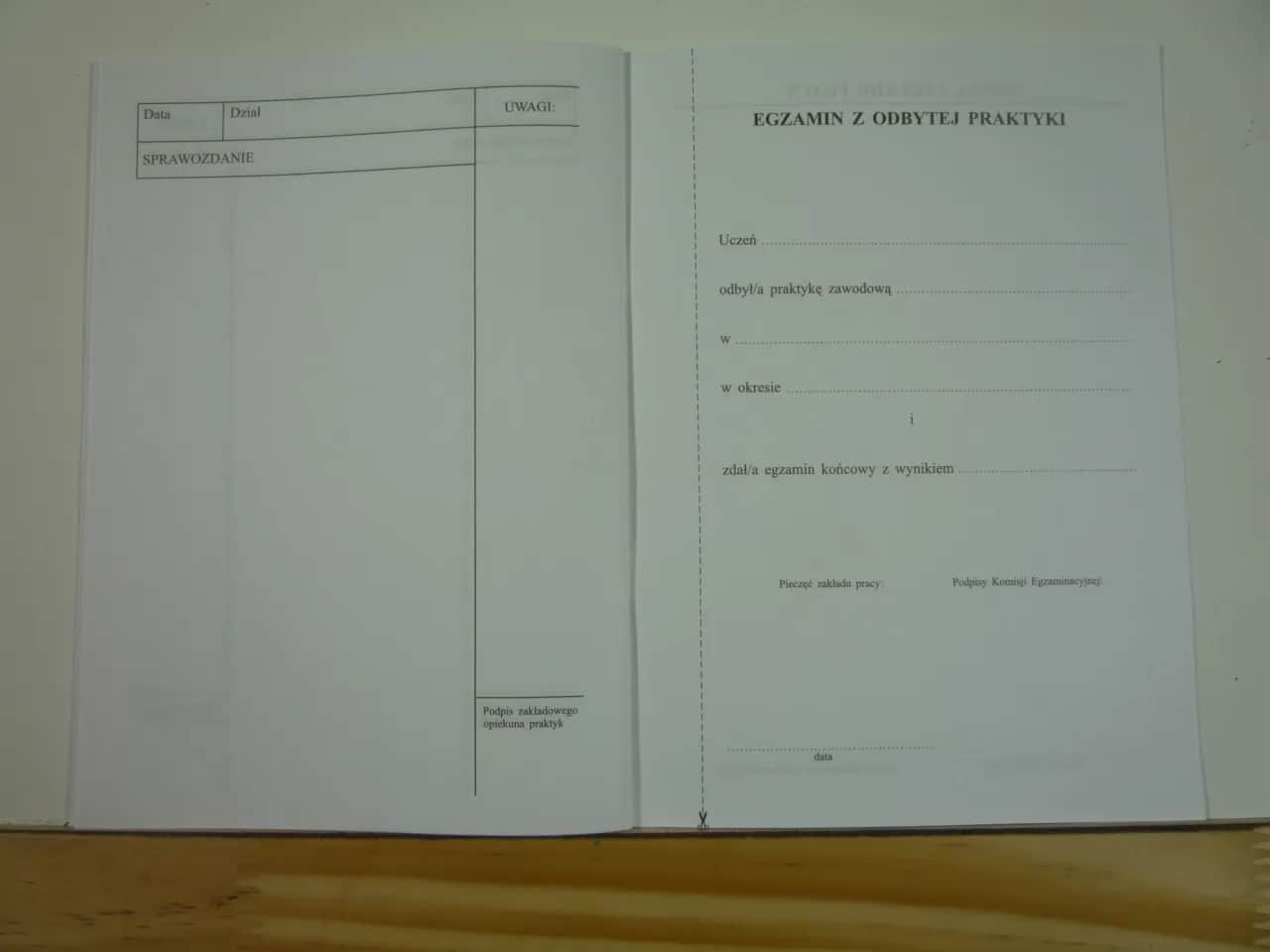 Dziennik praktyk zawodowych: Jak pisać, by zachwycić komisję?